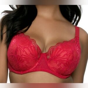 ❤️PARAMOUR BY FELINA TEMPTING PLUSH ALL OVER LACE UNDERWIRE BRA SIZE 42G
